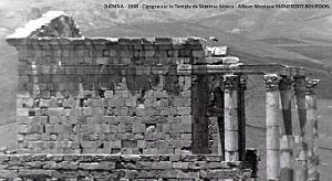 1- Djemila 1938. Cigogne sur le Temple de Septime-Severe2